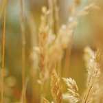 Dicas de como investir no seu blog gastando pouco.