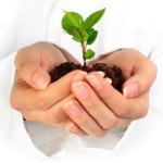 Como se tornar um microempresário de sucesso